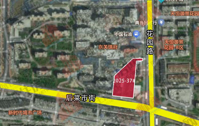 IMG_0991_$1762742695327056458.jpg IMG_0991.jpg